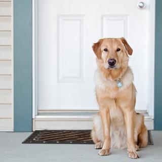 B2X Fußmatte aus Gusseisen  