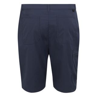 Regatta Dalry Shorts  