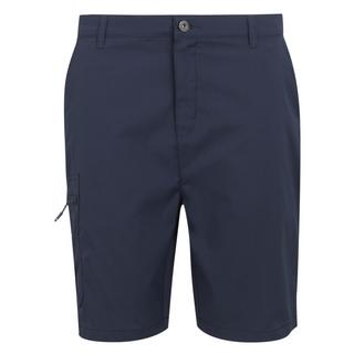 Regatta Dalry Shorts  