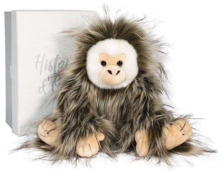 Image of Capucin Affe