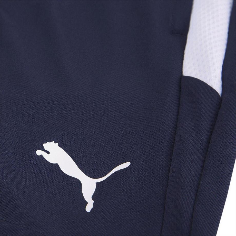 PUMA  Team Liga Fußballshorts, Training 
