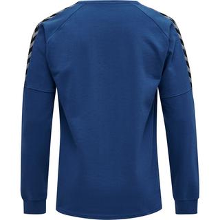 Hummel  pullover hmlauthentic training 