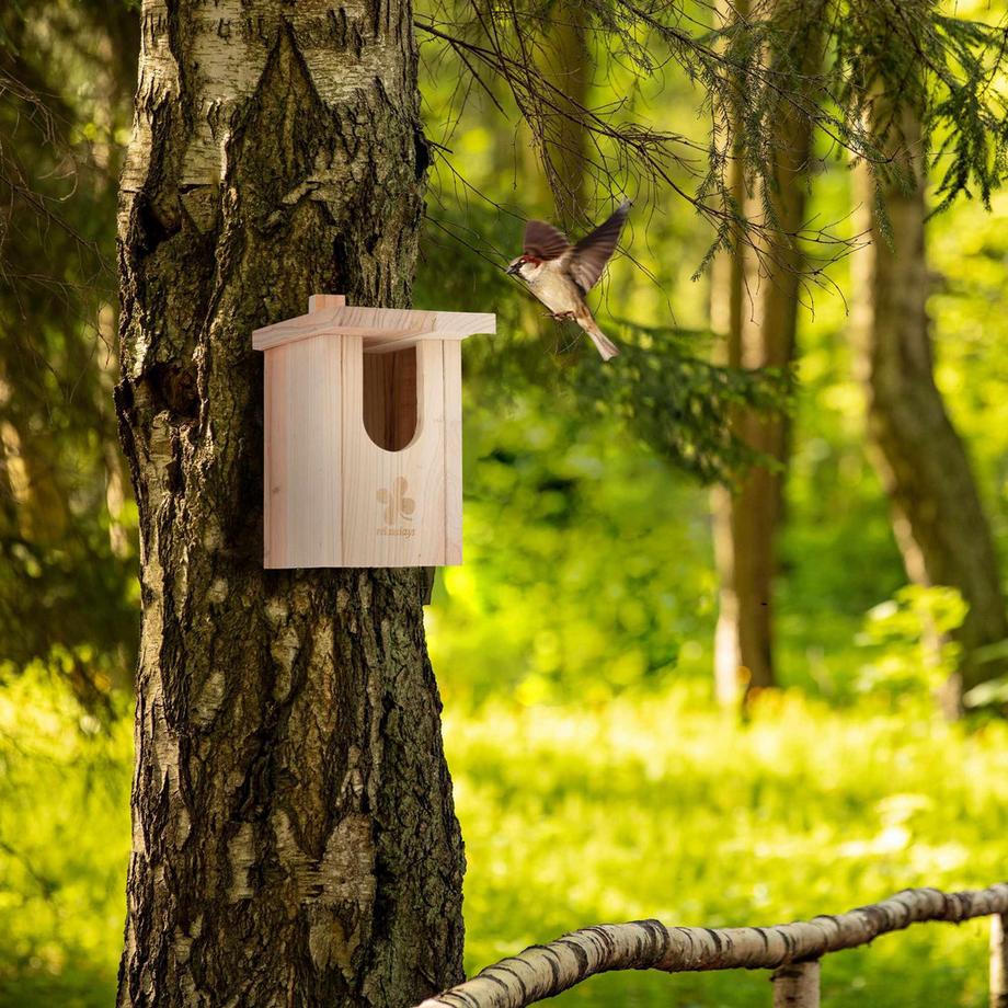 Northio  Nichoir en bois naturel Demi-cavité Oiseaux 