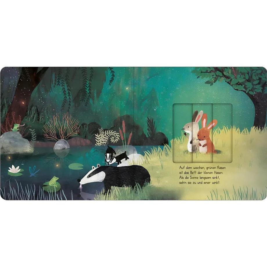 Wenn der Mond am Himmel steht Boese, Cornelia; Saldaña, Carmen (Illustrationen) Gebundene Ausgabe 