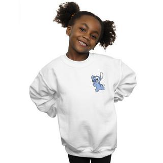 Disney  Sweatshirt 