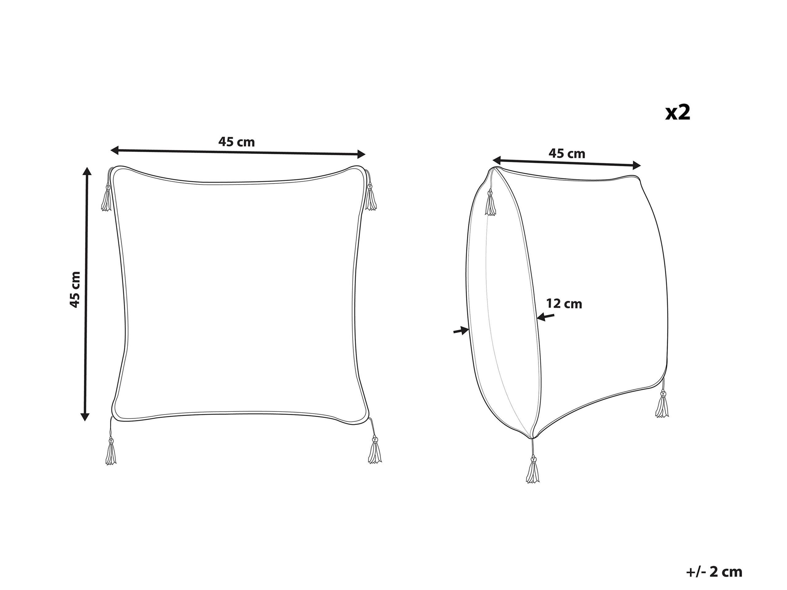 Beliani Kissen 2er Set aus Polyester Modern CAMELLIA  