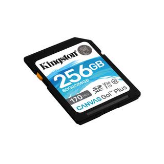 Kingston  Kingston Technology Scheda SDXC Canvas Go Plus 170R C10 UHS-I U3 V30 da 256GB 