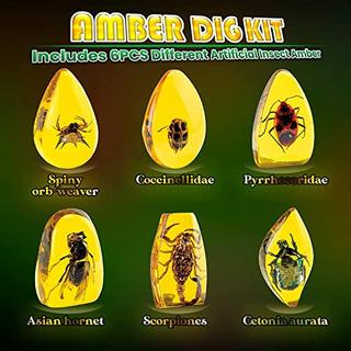 Activity-board  63PCs Wissenschaftliche Experimente Set, 30 Chemie-Experimente für Kinder mit Wissenschaftler 