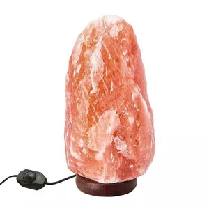 Lampada fatta a mano dal sale dell'Himalaya