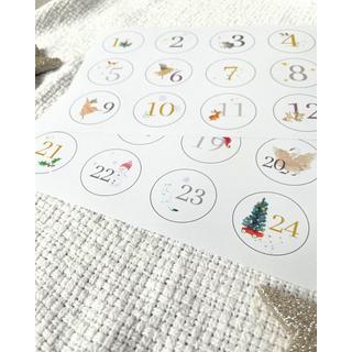 Moulin Roty DIY Adventskalender für Jungen, inkl. 12 einzigartiger Artikel  