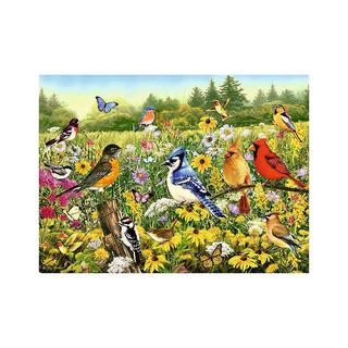 Ravensburger  Puzzle Ravensburger Vogelwiese 500 Teile 