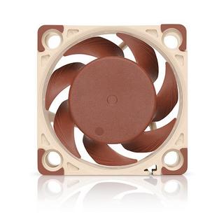 Noctua  Noctua 