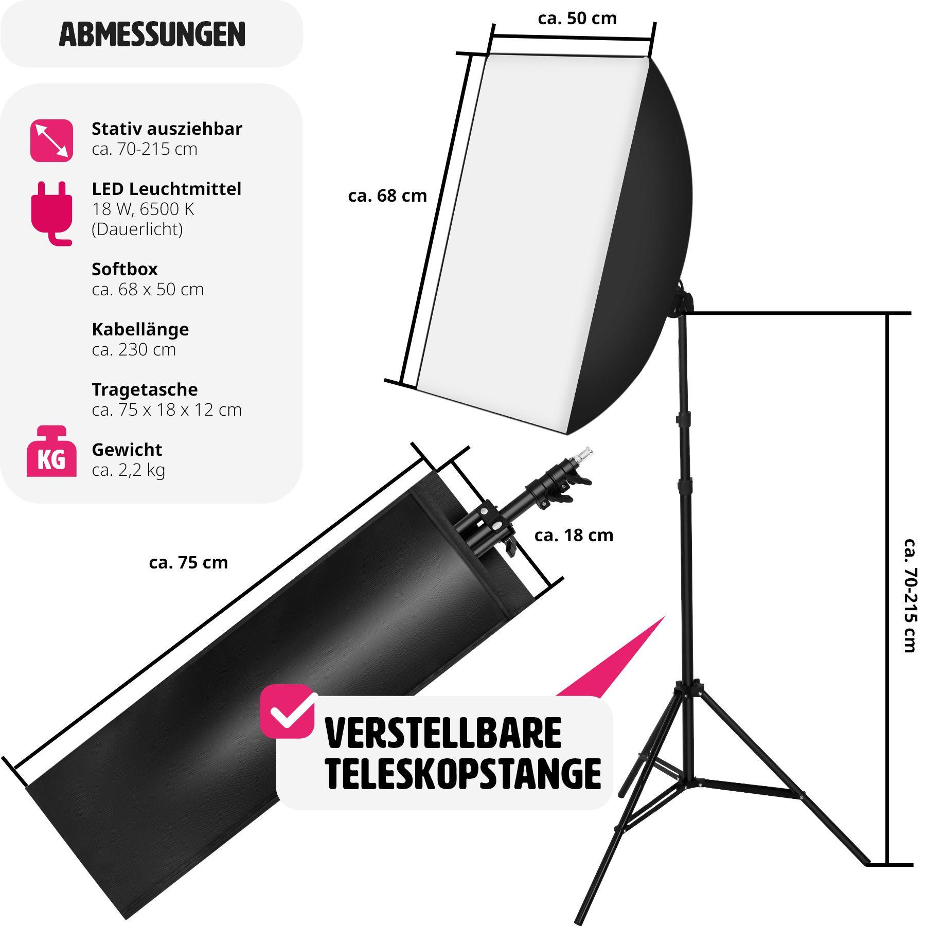 Tectake  Lampada da studio fotografico + soft box, modello 1, stativo e borsa per trasporto 