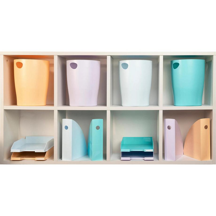 Exacompta Cestino gettacarte Ecobin Aquarel  