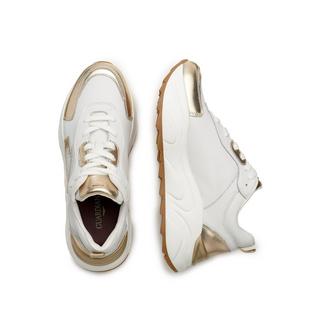 Alberto Guardiani  Sneakers 