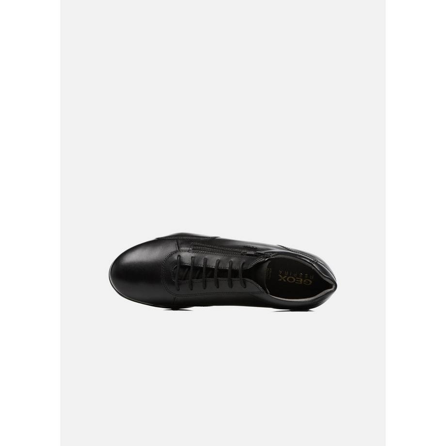 GEOX Uomo Symbol Scarpe Basse  