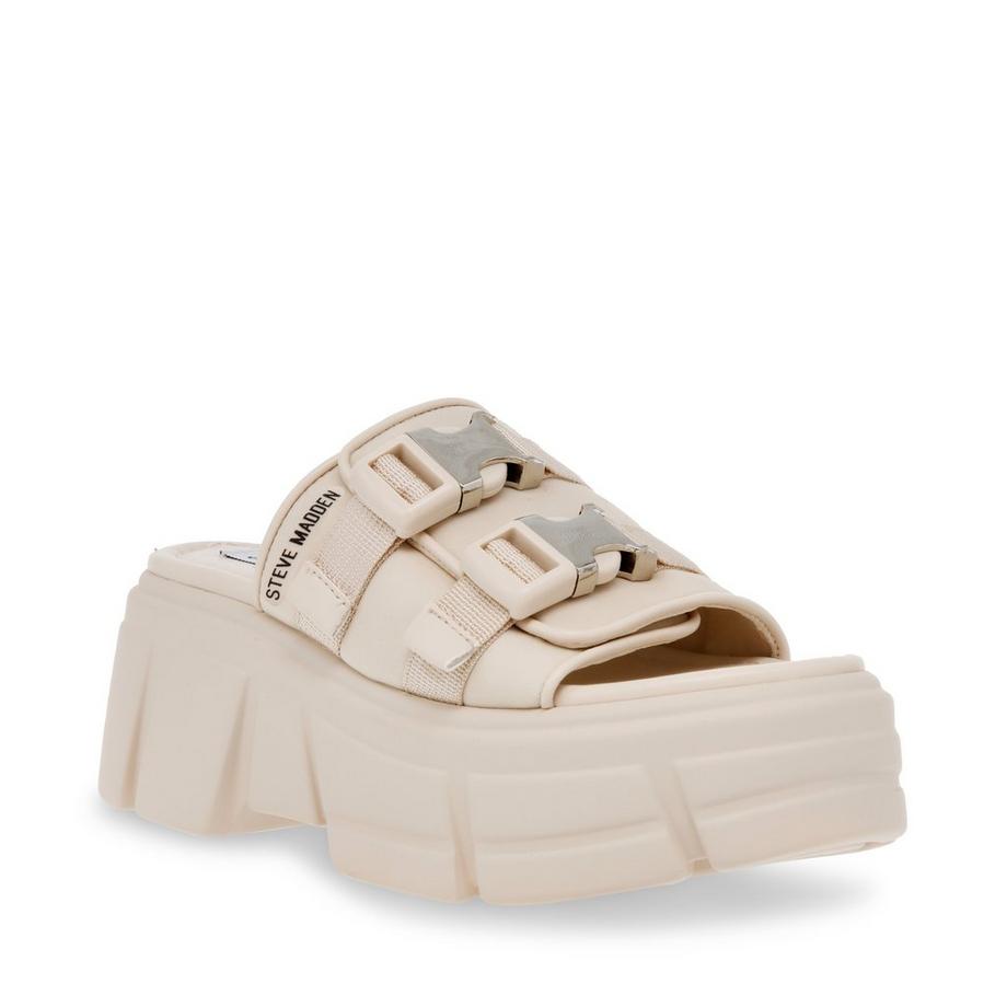 STEVE MADDEN  activator 