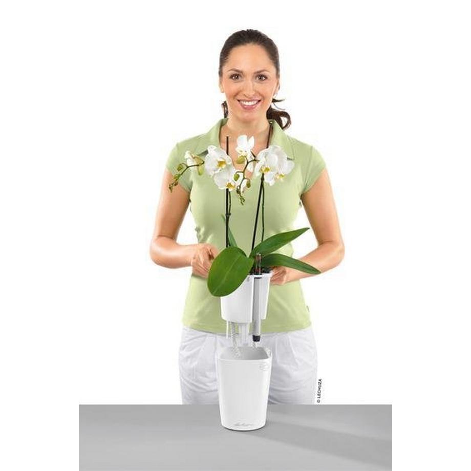 Lechuza MINI-DELTINI all-in-one  