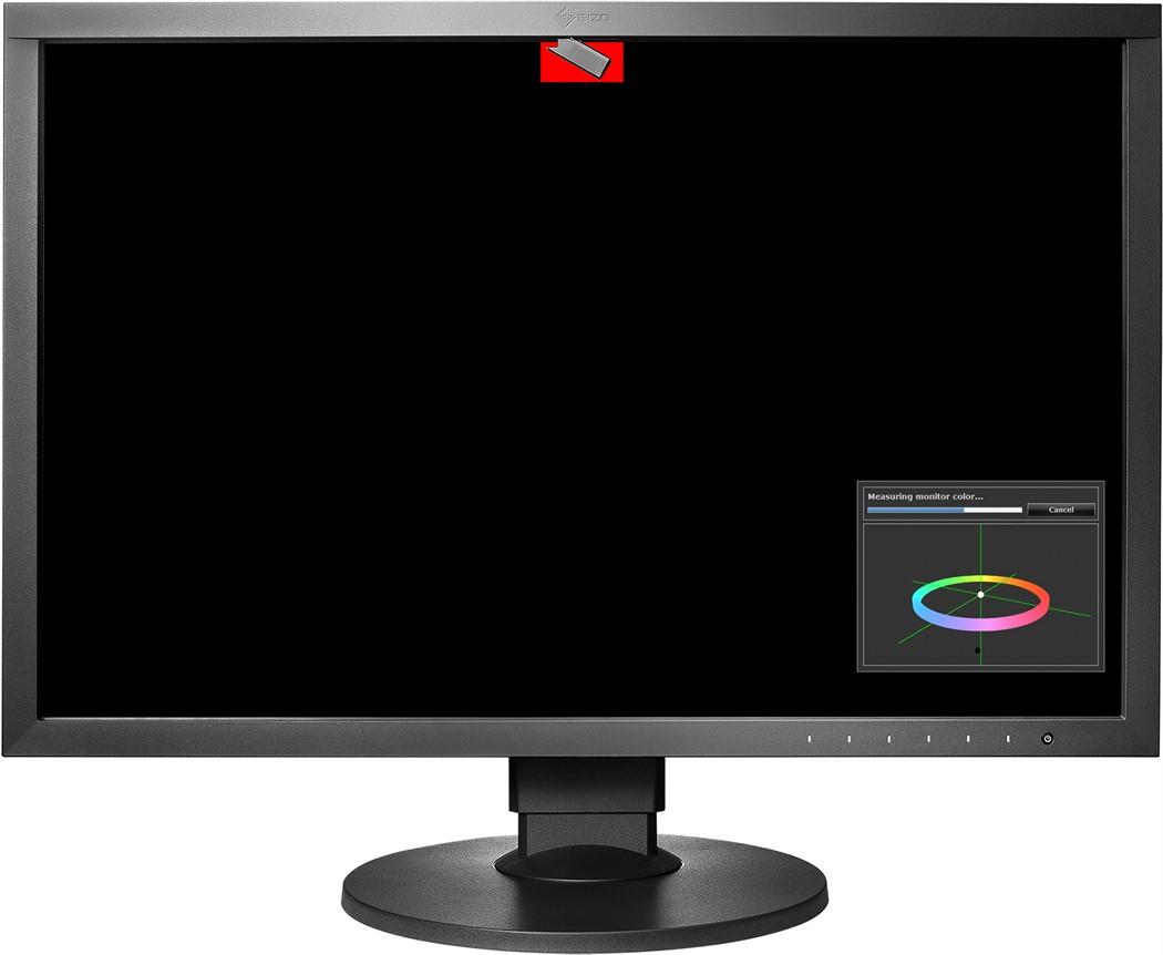 EIZO  CG2420 Swiss Edition (24", WUXGA) 