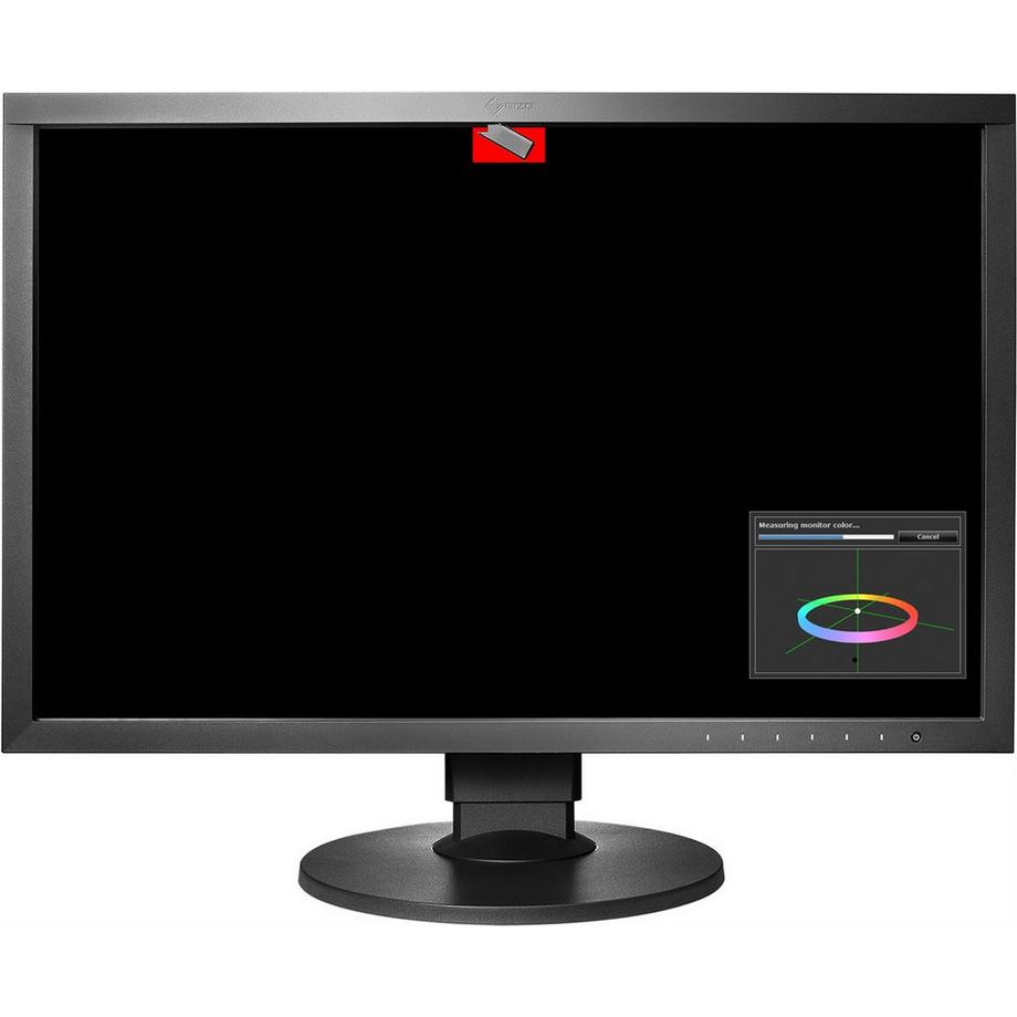EIZO  CG2420 Garanzia Svizzera 