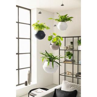 Lechuza fioriera a sospensione Plastica  