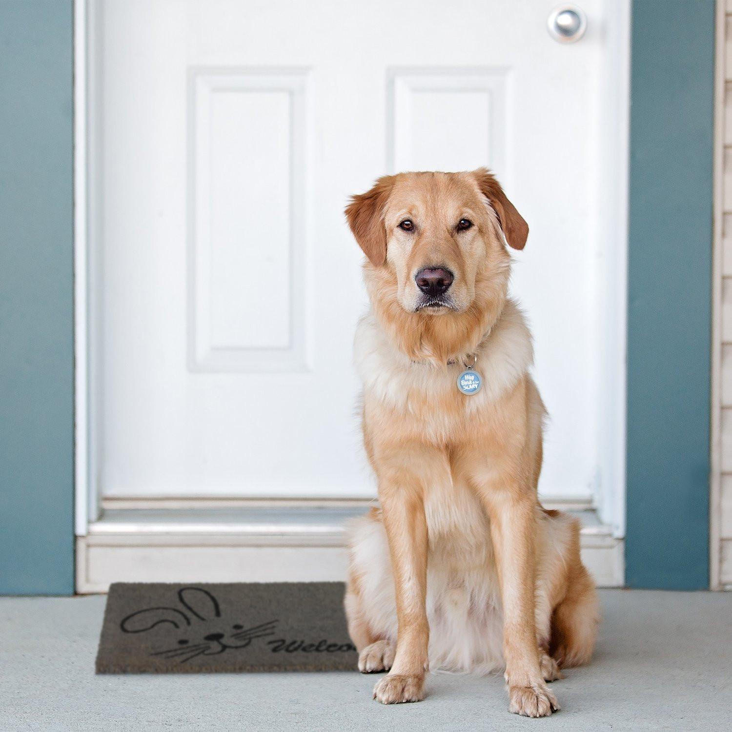 B2X Fußmatte Kokosfaser "Willkommen"  