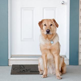 B2X Fußmatte Kokosfaser "Willkommen"  