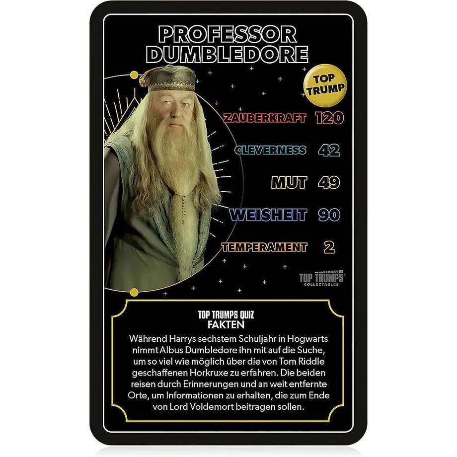 Winning Moves  Harry Potter Helden von Hogwarts 