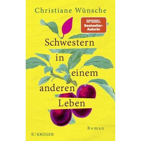 Schwestern in einem anderen Leben Wünsche, Christiane Gebundene Ausgabe 