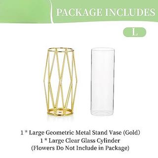 Alopini Vase für Pampasgras, Glas Gold Vase Hohe Bodenvase mit geometrischem Metallrahmen Stand  