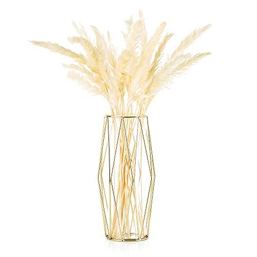 Alopini Vase für Pampasgras, Glas Gold Vase Hohe Bodenvase mit geometrischem Metallrahmen Stand  