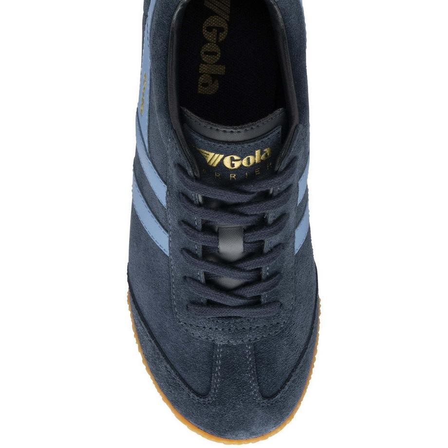 gola  scarpe da ginnastica da harrier suede 