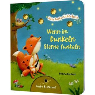 Mein Puste-Licht-Buch: Wenn im Dunkeln Sterne funkeln Christina Nömer Gebundene Ausgabe 