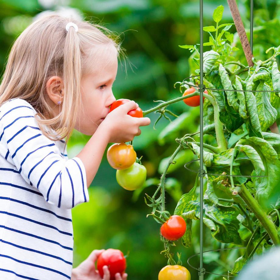 B2X Tuteur pour plantes 150 cm, lot de 2  