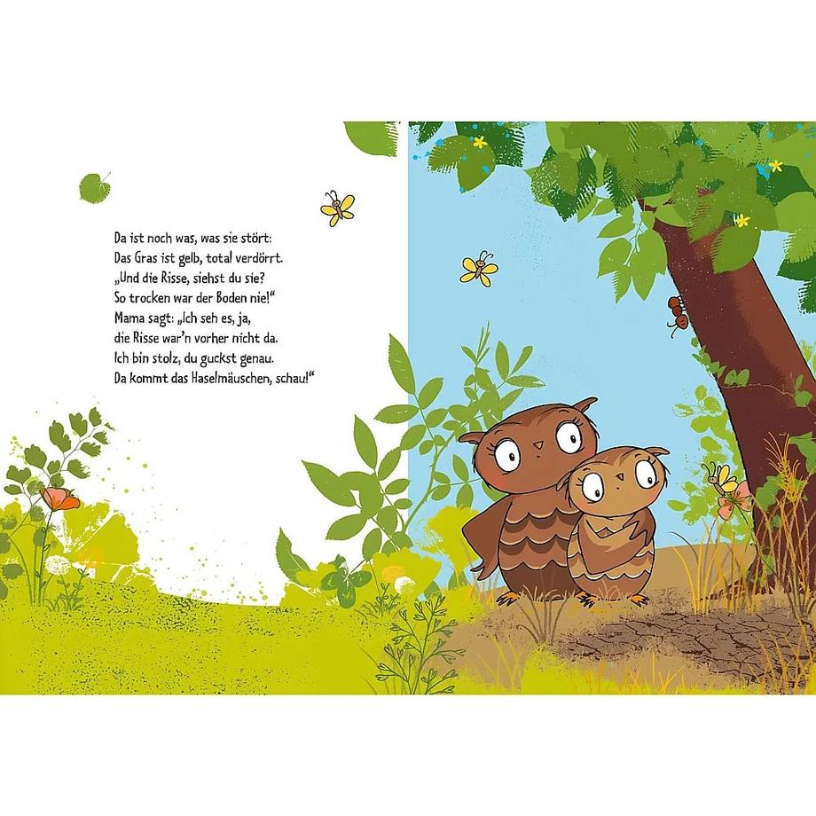 Die kleine Eule zieht um Weber, Susanne; Jacobs, Tanja (Illustrationen) Couverture rigide 