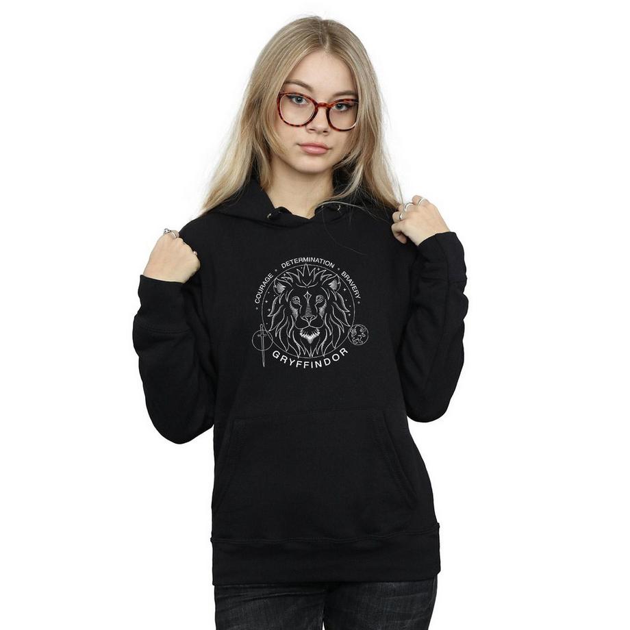 Harry Potter Gryffindor Felpa con cappuccio  