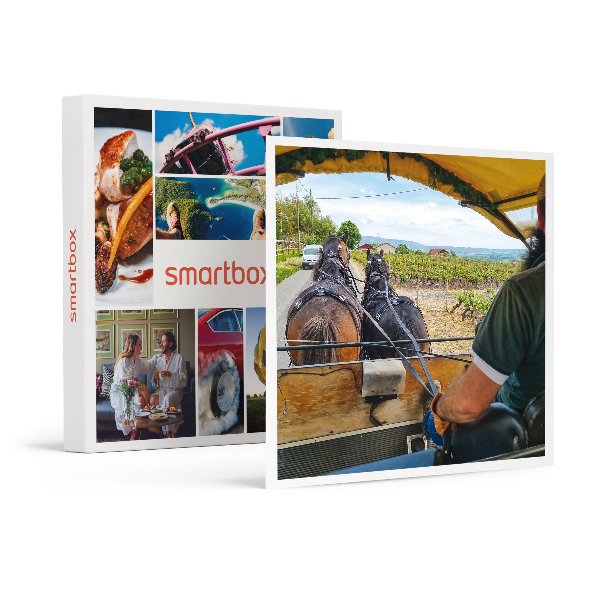 Image of Mit Der Pferdekutsche Durch Die Weinberge: 1 Weinverkostung Mit Frühstück - Geschenkbox Unisex