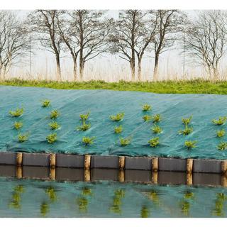 Nature  Membrane de mauvaises herbes 