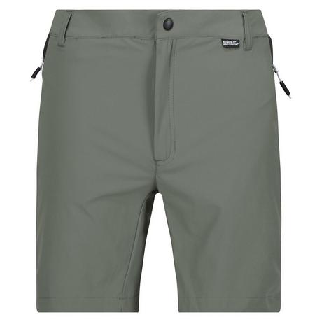 Regatta  Mountain II Shorts 