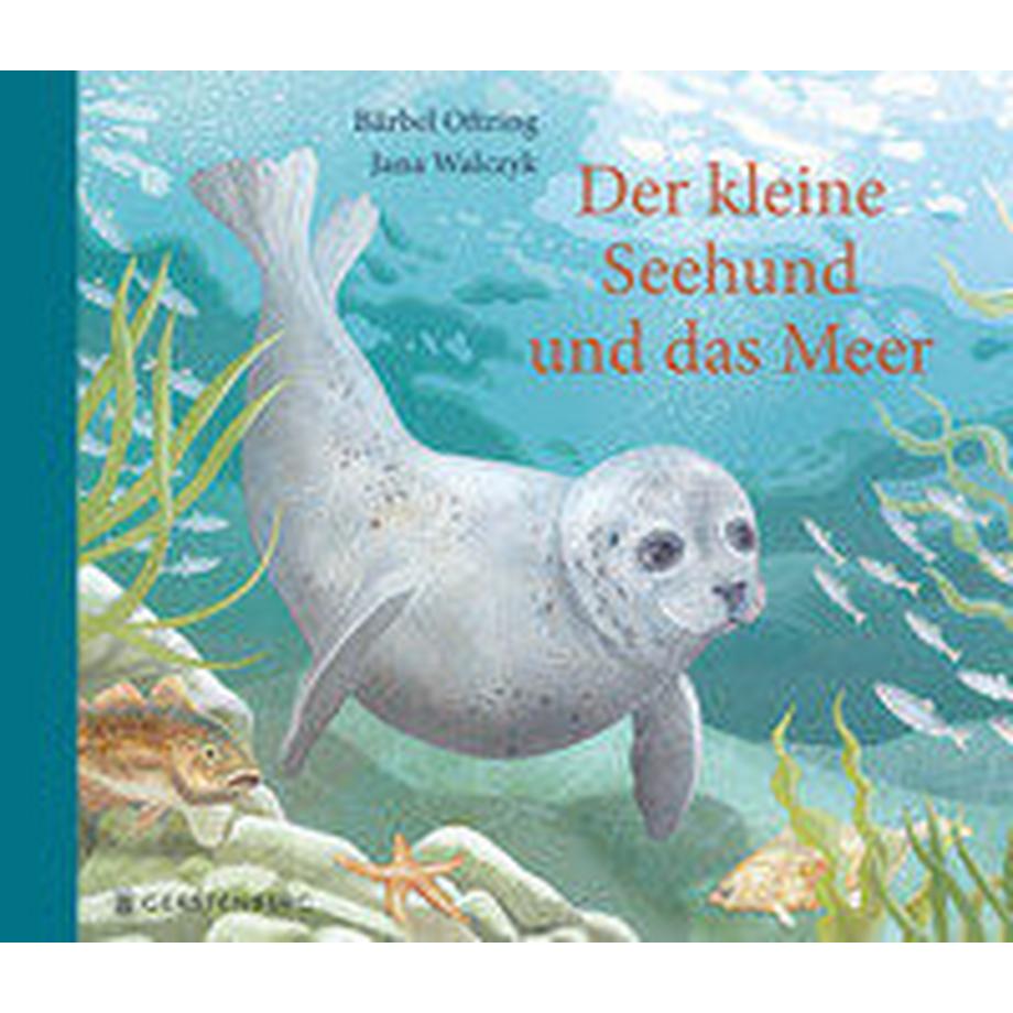 Der kleine Seehund und das Meer