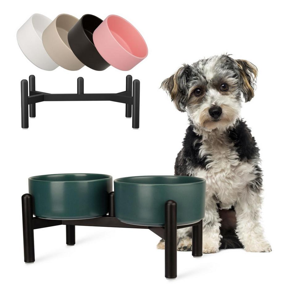 Ensemble de Bols de Nourriture pour Chien - Double Bol de Nourriture en Céramique avec Support en Acier Inoxydable
