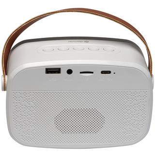 DENVER  BTM-610 BT-Lautsprecher mit Mikrofon und Karaoke-Funktion 