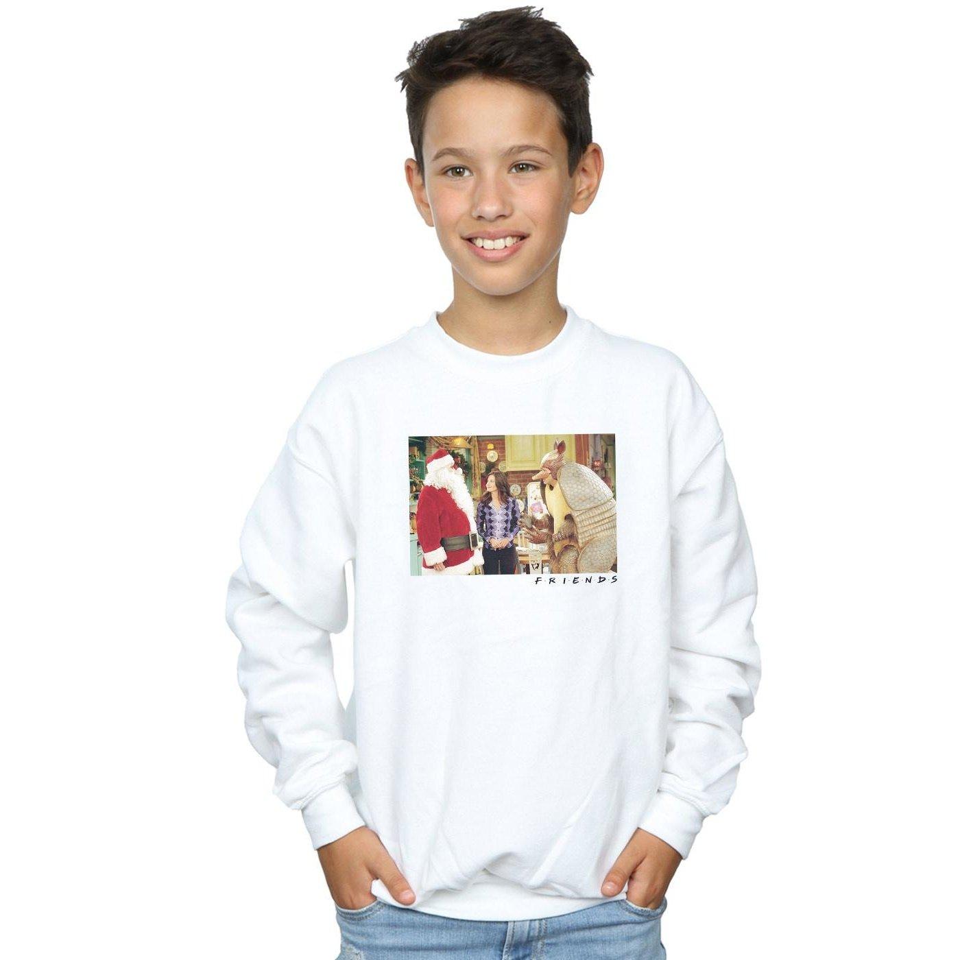 Friends  The Holiday Armadillo Sweatshirt 