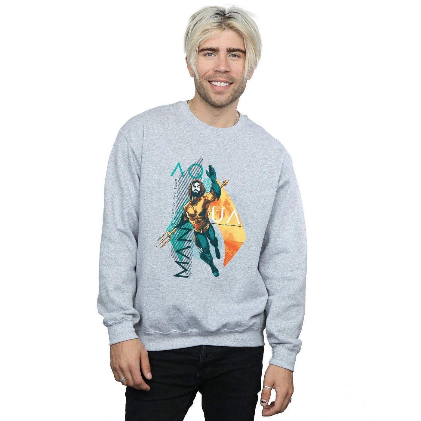 DC COMICS  Sweatshirt 