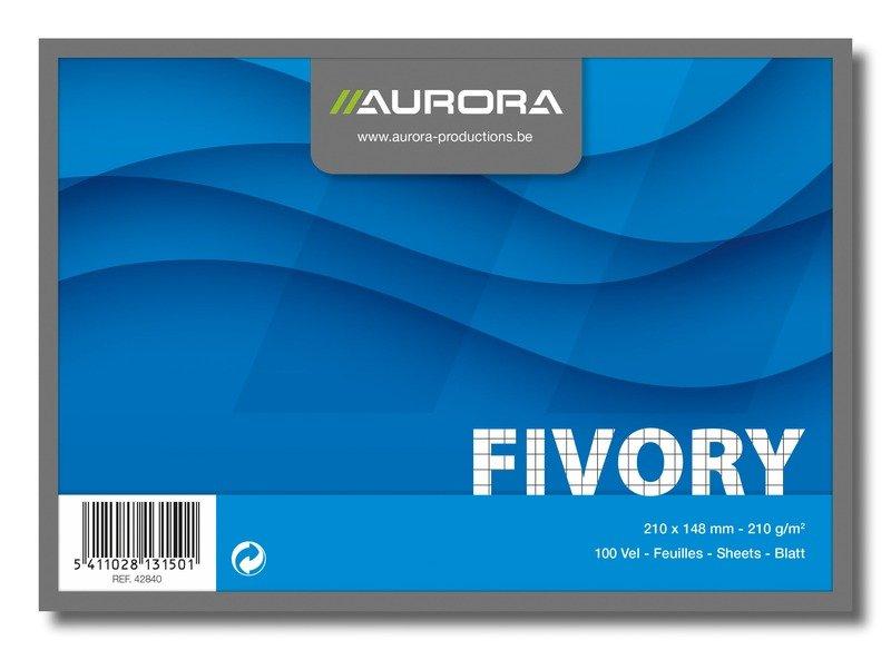 Aurora AURORA Karteikarten kariert A5 42840 weiss 100 Stück  