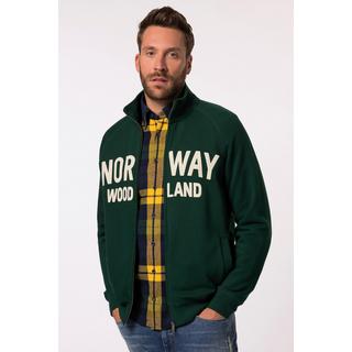 JP1880  Sweatjacke, Stehkragen, Print 