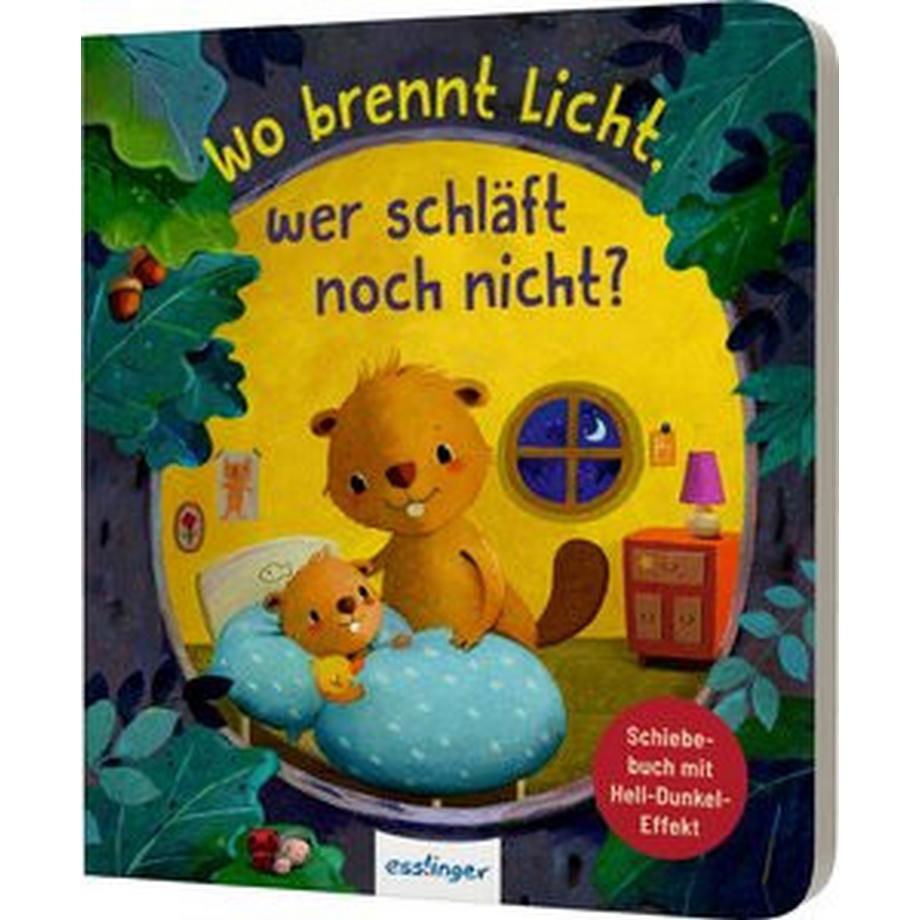 Wo brennt Licht, wer schläft noch nicht? Kiel, Anja; Rachner, Marina (Illustrationen) Copertina rigida 