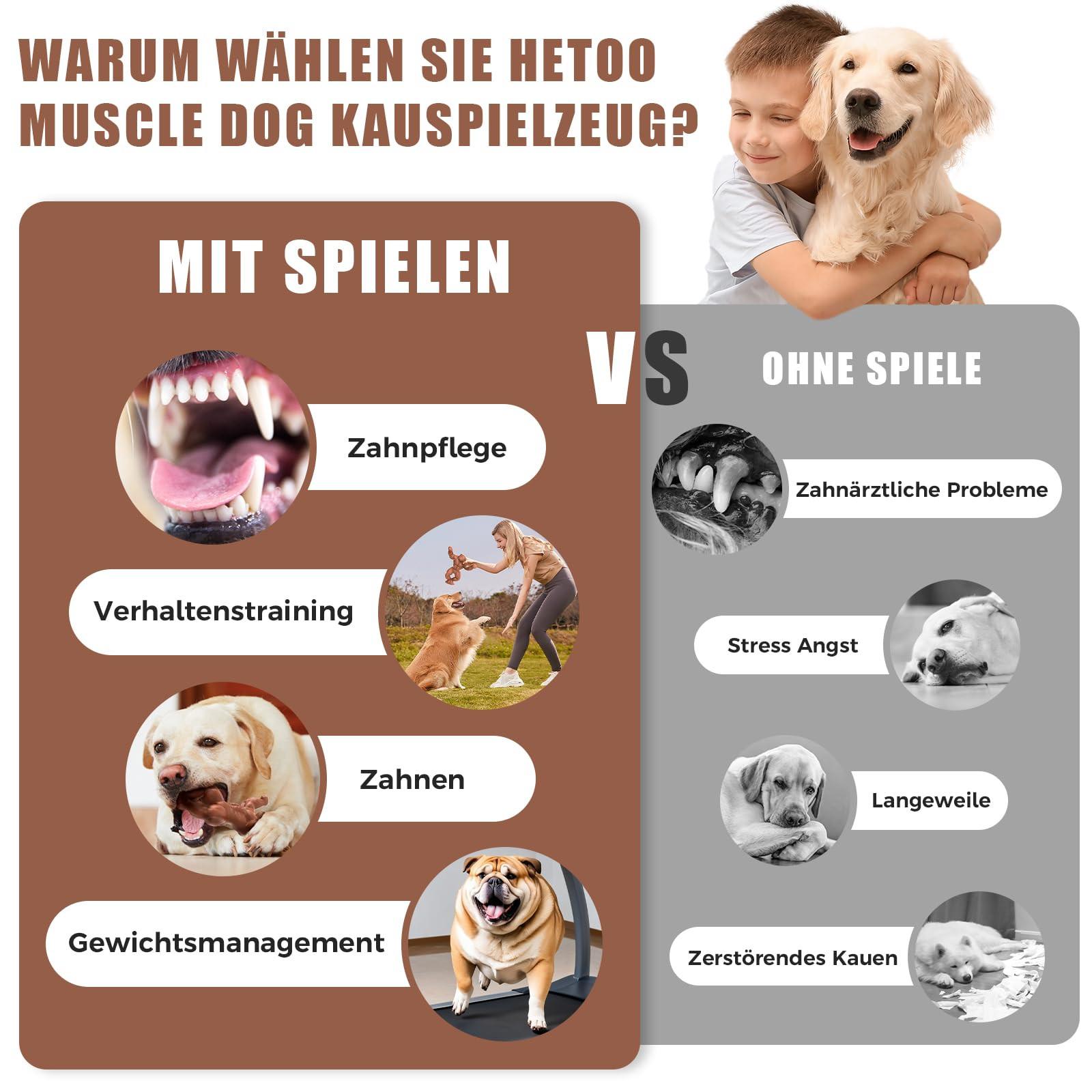 Activity-board  Jouet pour chien pour les mâcheurs agressifs 