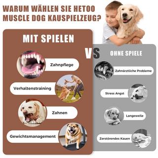 Activity-board  Jouet pour chien pour les mâcheurs agressifs 