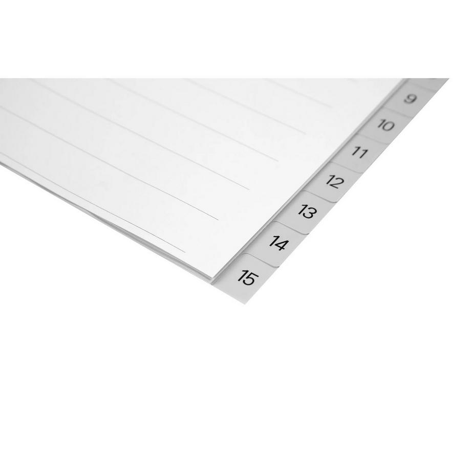 Biella BIELLA Register PP grau A4 471415.00 1-15  